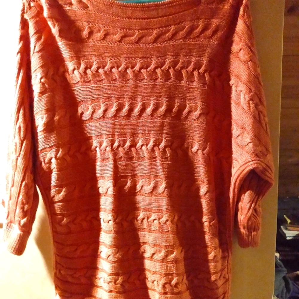 👕 2 for $15 👕 Ralph Lauren sweater